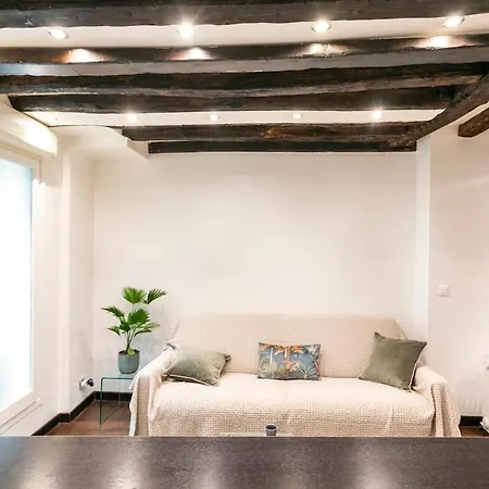 Le Marais Town Hall Apartment Paris